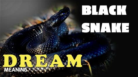 kahulugan ng itim na ahas sa panaginip|PANAGINIP 11: Black Snake .